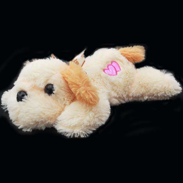  Cream  Puppy